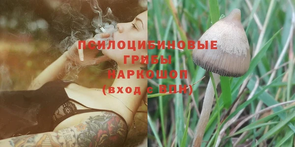 наркотики Алексин