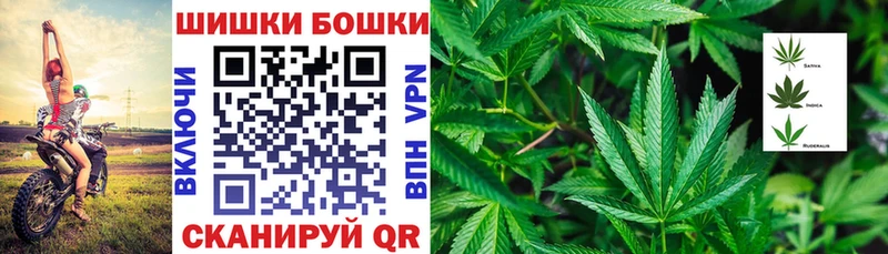KRAKEN   Венёв  Шишки марихуана OG Kush 